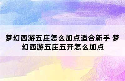 梦幻西游五庄怎么加点适合新手 梦幻西游五庄五开怎么加点